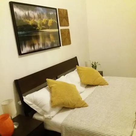 Near To Airport Guest-house * פיזה
